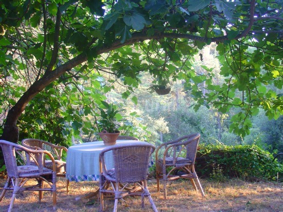 jardin con piscina