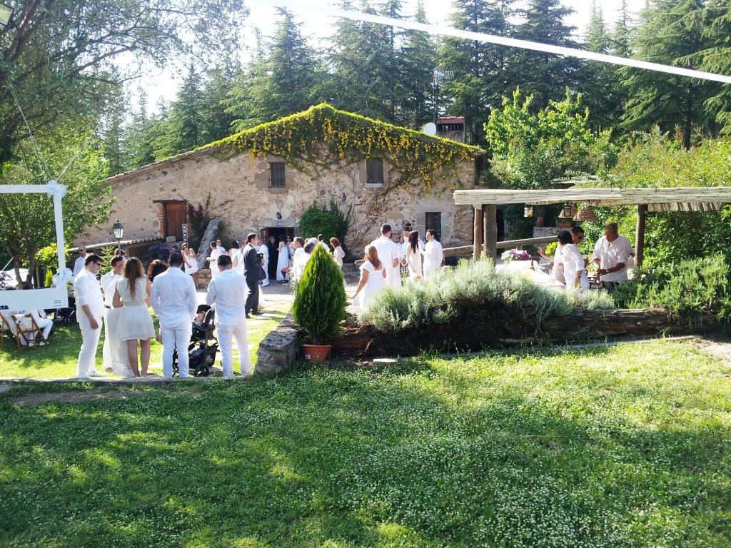 fiesta en jardín